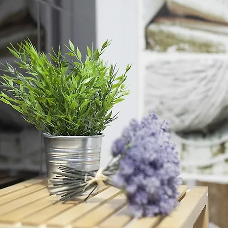 埃姆珀瑞姆里斯本套房酒店