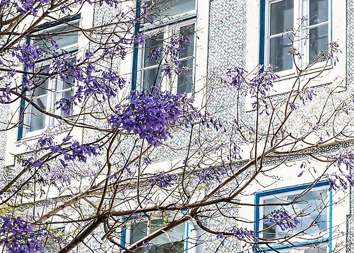 Maison d'hôtes Emporium Lisboa